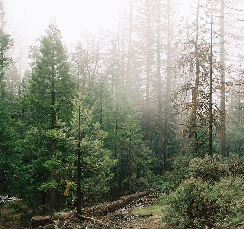 photographer-25